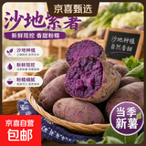 现挖沙地蜜薯红薯新鲜农家糖心番薯烤地瓜软糯批发黄心包邮 正宗沙地紫薯9斤（单果3两+） 含箱
