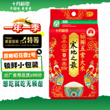 十月稻田 寒地之最 特等五常大米 绿色食品 300g(官方溯源 原粮稻花香2号)