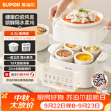 苏泊尔（SUPOR）电炖锅 炖汤盅 电炖盅隔水炖家用全自动煲汤炖汤锅陶瓷燕窝炖盅4.5L蒸炖一体多功能锅 DZ25FC873