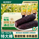 金沃瑞丰有机黑糯玉米4.8斤 300g*8根 真空包装含花青素低脂粗粮早餐
