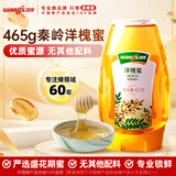 汪氏 洋槐蜜蜂蜜465g*1 槐花蜜饮料冲调品 便携挤压中秋节礼品送长辈