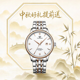 天王（TIAN WANG）手表男士 生日礼物昆仑系列钢带机械表GS5876TP.D.TP1.W-1
