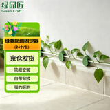 绿园匠绿萝爬墙固定神器绿植藤曼植物免钉贴墙自粘式挂钩攀爬夹子24个