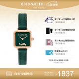 蔻驰（COACH） CASS系列 皮带石英女表 14504227 孔雪儿推荐 礼物/送礼