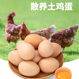 散养土鸡蛋柴鸡蛋新鲜营养现捡整箱发货笨鸡蛋新年节日礼盒送礼 土鸡蛋20枚【单个45-55g】