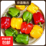 蔬菜之乡山东寿光农家大棚自种灯笼椒五彩椒圆椒水果彩椒现摘现发 （红黄绿随机）净重3.7斤