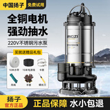 扬子潜水泵家用井水抽水泵220V不锈钢农用污水泵灌溉浇菜大流量高扬程 不锈钢污水1100W-2寸【10米线-10米水带】