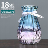 FOOJO 北欧竖纹玻璃花瓶 插花摆件玻璃瓶 水培植物透明花瓶花器 钻石款-渐变蓝