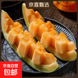 新疆哈密瓜 山东晓蜜瓜 海南晓蜜瓜25号 西州蜜17号 蜜瓜 4-5斤（1-2粒） 脆甜爽口多汁