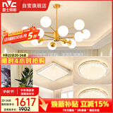 雷士（NVC）吊灯铜魔豆分子灯客厅北欧灯具灯饰创意现代轻奢三室一厅NGD12-2