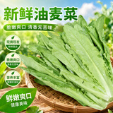 京鲜生云南新鲜油麦菜净重3斤源头直发