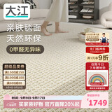 大江进口羊毛地毯客厅现代简约素色轻奢高级感沙发地毯200x300cm