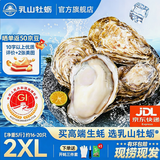 乳山牡蛎鲜活乳山生蚝2XL 净重5斤 16-20只 生鲜海鲜送礼 源头直发
