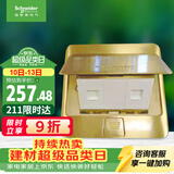 施耐德 弹出阻尼式双联六类电脑地插（不含底盒）铜质光面E226RJ6_2_BAS