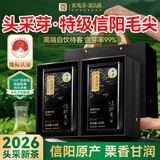 贡苑2026新茶 头采芽信阳毛尖特级250g 明前绿茶高档茶叶自己喝送长辈