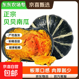 【东东农场专供】正宗新鲜贝贝南瓜健康粗粮蔬菜生鲜宝宝辅食 贝贝南瓜健康粗粮宝宝辅食含箱 2斤 （净重1.7斤）