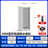 先科（SAST） ST-501户外蓝牙防水音柱室外挂墙壁挂式音响功放喇叭套装音箱学校操场广播店铺音乐 40W蓝牙音柱（单主机）