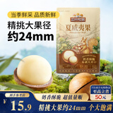 三只松鼠量贩装夏威夷果250g/袋 儿童每日坚果炒货休闲零食团购送礼