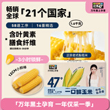 北纬47度小鲜棒黄糯玉米1.6kg 东北黏鲜玉米8根 真空包装 早餐代餐低脂