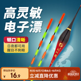 臻佑（Grsaed）鱼漂电子漂水无影夜光漂鲫鲤鱼漂夜钓漂醒目高灵敏纳米鱼标CP06