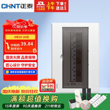 正泰强电箱配电箱明装13回路NEX5-C11300M