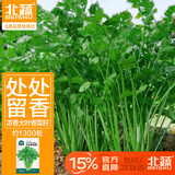 北蔬 老品种香菜种子苗耐寒四季芫荽菜种籽 叶多维香菜籽种子约1300粒