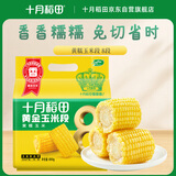 十月稻田 黄糯6cm玉米段 8段 共1.6斤 东北杂粮粗粮 低脂早餐 火锅食材