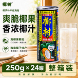 椰树牌椰果椰汁 250g*24罐 植物蛋白饮料 正宗海南特产中秋送礼