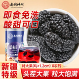 南京同仁堂黑桑葚干精选新疆即食免洗无沙桑椹干搭枸杞养生茶泡水泡酒