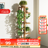安尔雅 松木花架子花盆碳化室内外客厅阳台多肉植物简约置物架花摆架8层