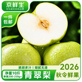 京鲜生安徽砀山青翠梨净重10斤 单果200-250g+新鲜水果源头直发