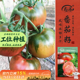 寿禾草莓番茄种子苗绿肩西红柿蔬菜种籽 潍丰贝雷塔草莓番茄种子25粒