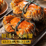 【活蟹】阳澄逍遥大闸蟹鲜活螃蟹礼盒公3.3-3.6两母2.3-2.6两4对8只现货生海鲜中秋送礼