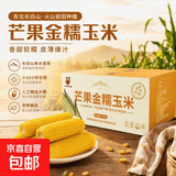 现挖沙地蜜薯红薯新鲜农家糖心番薯烤地瓜软糯批发黄心包邮 2026有机黄糯玉米10根*260g 净重 彩箱