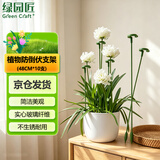 绿园匠花卉爬藤架植物防倒伏支撑杆玻纤固定盆栽护花叶花支架48厘米10支