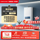前锋（CHIFFO）燃气热水器【小海豚】2S瞬燃精准控温三档变升低压启动沐浴无忧变频调温多重安全保护JSQ23-XD450
