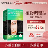 章华（SAVOL）丝精缇妃染发霜棕黑色（轻松染发剂发色遮白染膏）