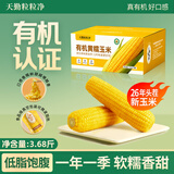 天勤粒粒净【26年头茬玉米】有机黄甜糯玉米（3.68斤）8穗*230g玉米低脂早餐
