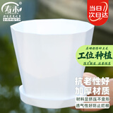 寿禾 花盆树脂北欧简约栽花室内多肉绿植盆栽 木里盆小号-白色
