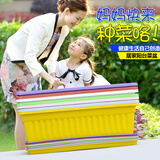 春枝韵 种菜神器阳台室内蔬菜种植花盆长方形种菜盆塑料长条盆蔬菜阳台 环保菜盆砖红色+拖盘 特大号50cm