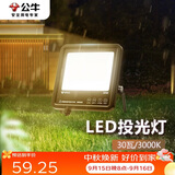 公牛（BULL）LED投光灯户外路灯庭院灯工地灯露营灯 IP65防水30W-3000K暖白光