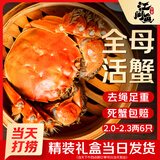【活蟹】江问鱼 大闸蟹全母2.0两-2.3两 6只装 鲜活螃蟹生鲜礼盒送礼优选去绳足重