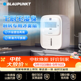 蓝宝（BLAUPUNKT）冰雾扇厨房电风扇家用厨房降温神器专用小型水冷空调扇加湿风扇冷风机无冰晶节能低噪可拆洗壁挂X6