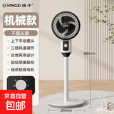 扬子（YANGZI）电风扇家用落地扇空气循环扇节能制冷宿舍卧室办公室冷风扇大风力摇头台立两用节能 【旋钮调节+不摇头款】-经典扁头款