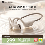 Salt Sound澳威声学AF1气传导蓝牙6.0开放式运动耳机 学生跑步适用苹果华为 雾霾灰 京东自营 中秋送礼