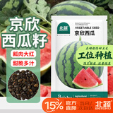 北蔬 京欣西瓜种子种苗大红瓤薄皮超脆甜盆栽瓜籽 京欣西瓜种子约50粒