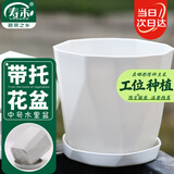 寿禾 花盆加厚绿植发财树种植盆家庭阳台园艺 木里盆中号-浅灰