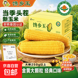 【东东农场专供】正宗头茬东北新鲜糯玉米软糯拉丝真空包装早餐 【有机认证】东北黄糯玉米250g*10支