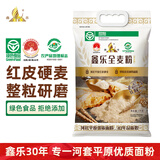 鑫乐全麦粉10斤内蒙河套平原核心产区绿色食品含麦麸小麦胚芽高纤低脂