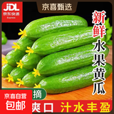 【超市品质】山东新鲜水果黄瓜嫩青瓜生吃蘸酱生鲜蔬菜减肥搭配 山东水果黄瓜带箱6斤净重 5.7斤 带箱